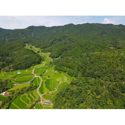 農林22号白米5kg 天日干し 栽培期間中農薬・化学肥料不使用