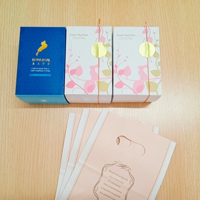 【ふわふわしっとり】BIWAKO色カステラと幸せのうさぎカステラのセット