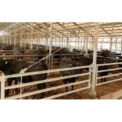 近江牛焼肉用3種盛り合わせ 計1kg