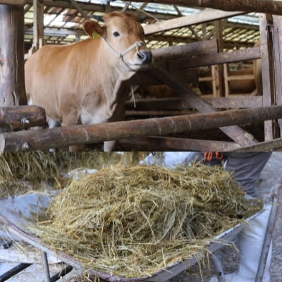 「土佐あかうし」モモスライス 1kg