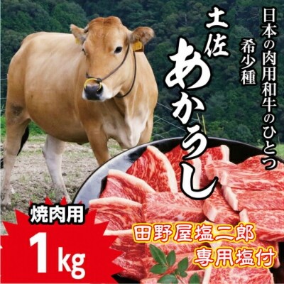 「土佐あかうし」焼き肉用+田野屋塩二郎の完全天日塩(肉用)