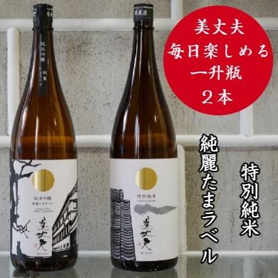 四国一小さなまちの地酒★美丈夫 毎日楽しめる一升瓶2本セット(純米吟醸 純麗たまラベル・特別純米酒)