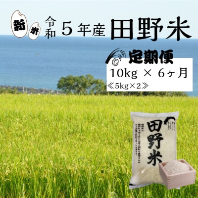 ≪先行受付中:定期便6ヵ月(10月～3月)≫令和5年産 田野米 10kg(5kg×2)× 6回