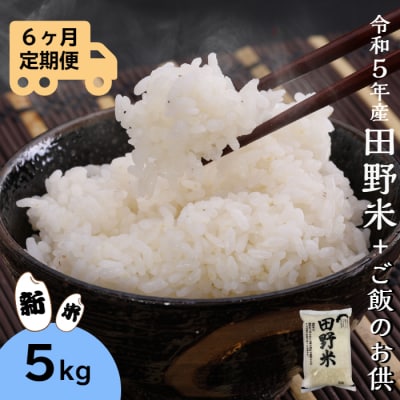 ≪先行受付中:定期便6ヵ月(10月～3月)≫～新米・精米～令和5年産 田野米 5kg+ご飯のお供 