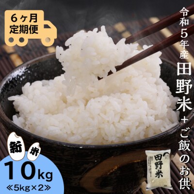 ≪先行受付中:定期便6ヵ月(10月～3月)≫～新米・精米～令和5年産 田野米 10kg+ご飯のお供