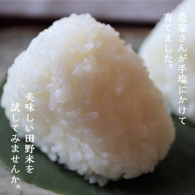 ≪先行受付中:定期便3ヵ月(10月～12月)≫～新米・白米～令和5年産 田野米 10kg+ご飯のお供