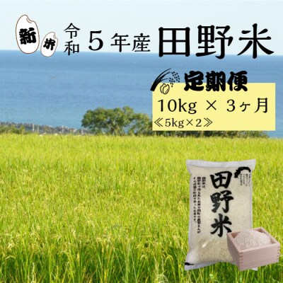 先行受付中★新米 精米 3ヵ月 定期便(11月～1月)★ 令和5年産 田野米 10kg×3回