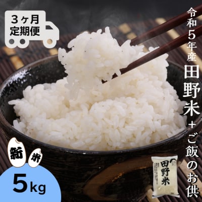 ≪先行受付中:定期便3ヵ月(11月～1月)≫ ～新米・精米～令和5年産 田野米 5kg+ご飯のお供