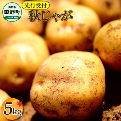 ★令和7年11月中旬発送開始★大野台地で採れた『令和7年産 秋じゃがいも』5kg