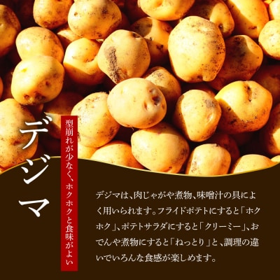 ★令和8年11月下旬頃発送開始★大野台地で採れた『令和8年産 秋じゃがいも』5kg
