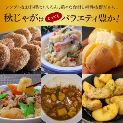 先行受付★令和6年11月中旬発送開始★大野台地で採れた『令和6年産 秋じゃがいも』5kg