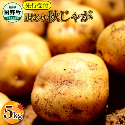 先行受付★令和7年11月中旬発送開始★大野台地で採れた『令和7年産 秋じゃがいも』5kg　訳あり