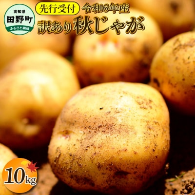 先行受付★令和6年11月中旬発送開始★大野台地で採れた『令和6年産 秋じゃがいも』10kg　訳あり