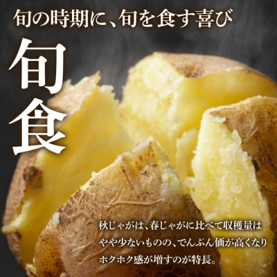★令和8年11月下旬頃発送開始★大野台地で採れた『令和8年産 秋じゃがいも』10kg　訳あり