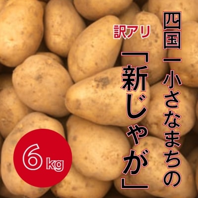 【四国一小さなまち】★先行受付:5月発送★大野台地で採れた令和5年産『新じゃが』6kg　訳アリ品