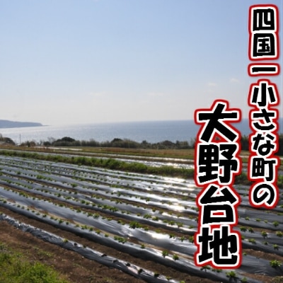 【四国一小さなまち】★先行受付:5月発送★大野台地で採れた令和5年産『新じゃが』6kg　訳アリ品