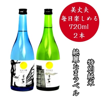 四国一小さなまちの地酒★美丈夫 毎日楽しめる720ml 2本セット(純麗たまラベル・特別純米酒)