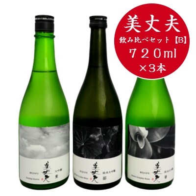 【四国一小さなまちの地酒】　美丈夫　720ml×3本　飲み比べセット　★B★