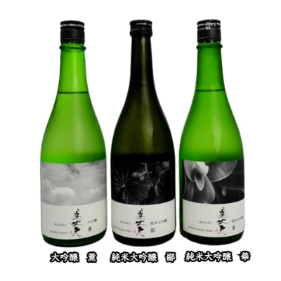 【四国一小さなまちの地酒】　美丈夫　720ml×3本　飲み比べセット　★B★