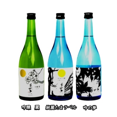 【四国一小さなまちの地酒】 美丈夫 720ml×3本 飲み比べセット ～C～