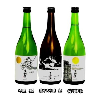 【四国一小さなまちの地酒】 美丈夫 720ml×3本 飲み比べセット ～D～