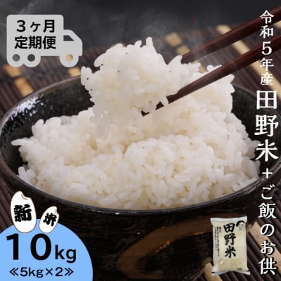 ≪先行受付中:定期便3ヵ月(12月～2月)≫ ～新米・精米～令和5年産 田野米 10kg+ご飯のお供