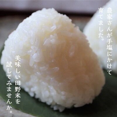 ≪先行受付中:定期便3ヵ月(1月～3月)≫ ～新米・精米～令和5年産 田野米 5kg+ご飯のお供