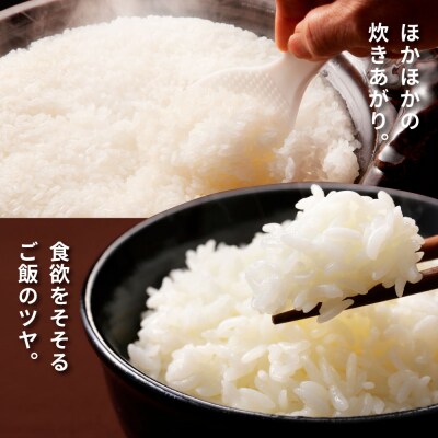 先行受付中★新米 精米 3ヶ月 定期便(12月～2月)★ 令和5年産 田野米 15kg×3回