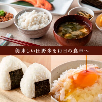 先行受付中★新米 精米 3ヶ月 定期便(12月～2月)★ 令和5年産 田野米 15kg×3回