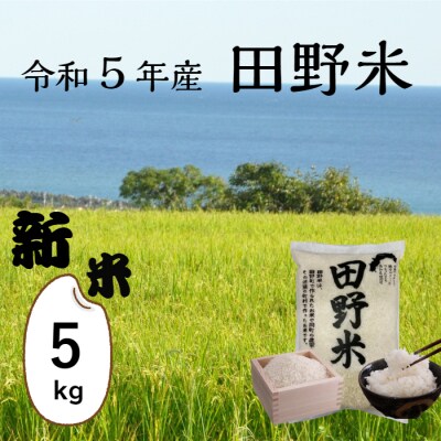 《先行受付中》★令和5年産 新米★ 田野米 5kg (5kg×1袋) ～精米・白米～