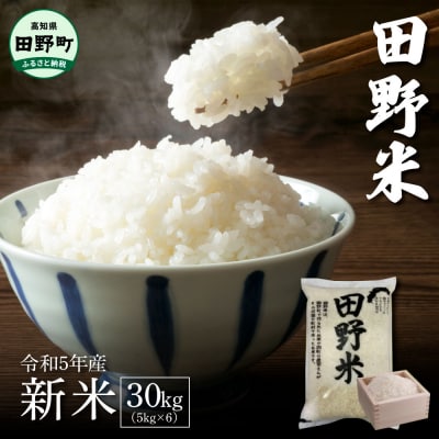 ★令和5年産 新米★ 田野米 30kg (5kg×6袋) ～精米・白米～