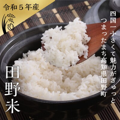 ★令和5年産 新米★田野米 5kg+田野屋青蜂 完全天日塩 20gセット～精米・白米～