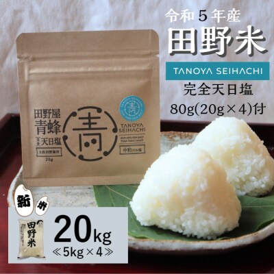 《先行受付中》★令和5年産 新米★田野米 20kg+田野屋青蜂完全天日塩 80gセット～精米・白米～