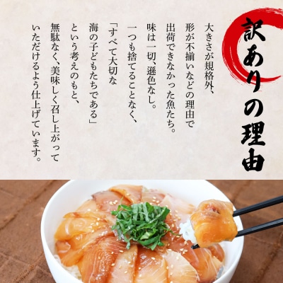これが魚屋の漬け丼だ! ～カンパチ～ 80g×10P ★訳あり★