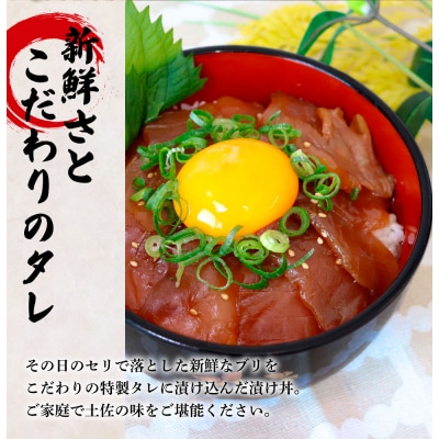 これが魚屋の漬け丼だ! ～ブリ～ 80g×5P ★訳あり★