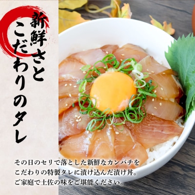 これが魚屋の漬け丼だ! ～カンパチ～ 80g×5P ★訳あり★ 