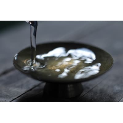 【四国一小さなまち】美丈夫　純米　慎太郎 (一升瓶)