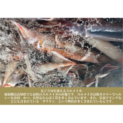 【四国一小さなまち】《訳あり》イカの一日干し　4枚入り【カネアリ水産】