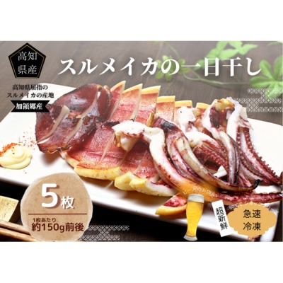 【四国一小さなまち】イカの一日干し　5枚【カネアリ水産》】