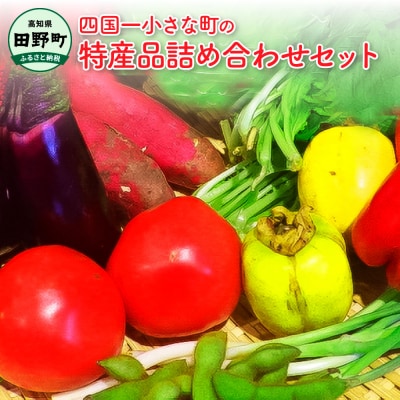 【四国一小さなまち】★道の駅田野駅屋★特産品詰め合わせセット