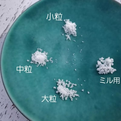 【四国一小さなまち】塩職人 田野屋青蜂　完全天日塩ミル用セット　100g×3個