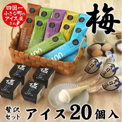 【四国一小さなまち】松崎冷菓の贅沢アイスセット〈梅〉