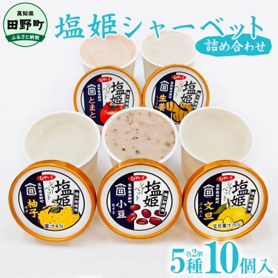 【四国一小さなまち】塩姫シャーベット5種詰め合わせセット 100ml×10個