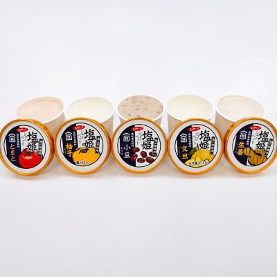 【四国一小さなまち】塩姫シャーベット5種詰め合わせセット 100ml×10個