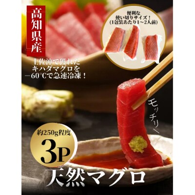 【四国一小さなまち】土佐沖どれキハダマグロ　約250g×3柵【カネアリ水産】