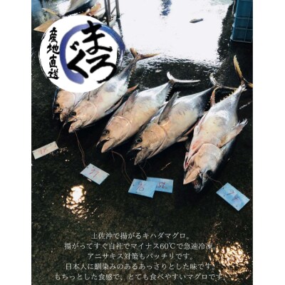 【四国一小さなまち】土佐沖どれキハダマグロ　約250g×3柵【カネアリ水産】