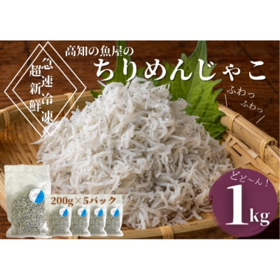 【四国一小さなまち】ふわっふわ! 土佐のちりめんじゃこ　約200g×5パック 【カネアリ水産】