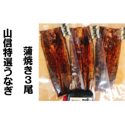 【四国一小さなまち】ヤマシン特選蒲焼きうなぎ　3尾