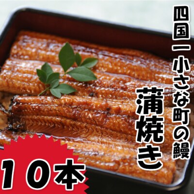 【四国一小さなまち】田野町産うなぎの蒲焼き(大)　10本　タレ付き 山椒付き