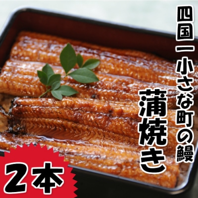 【四国一小さなまち】田野町産うなぎの蒲焼き(大)　2本　タレ付き 山椒付き